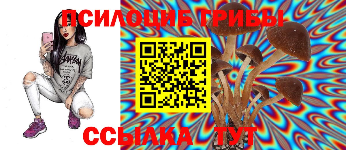 Псилоцибиновые грибы MAGIC MUSHROOMS Звенигород